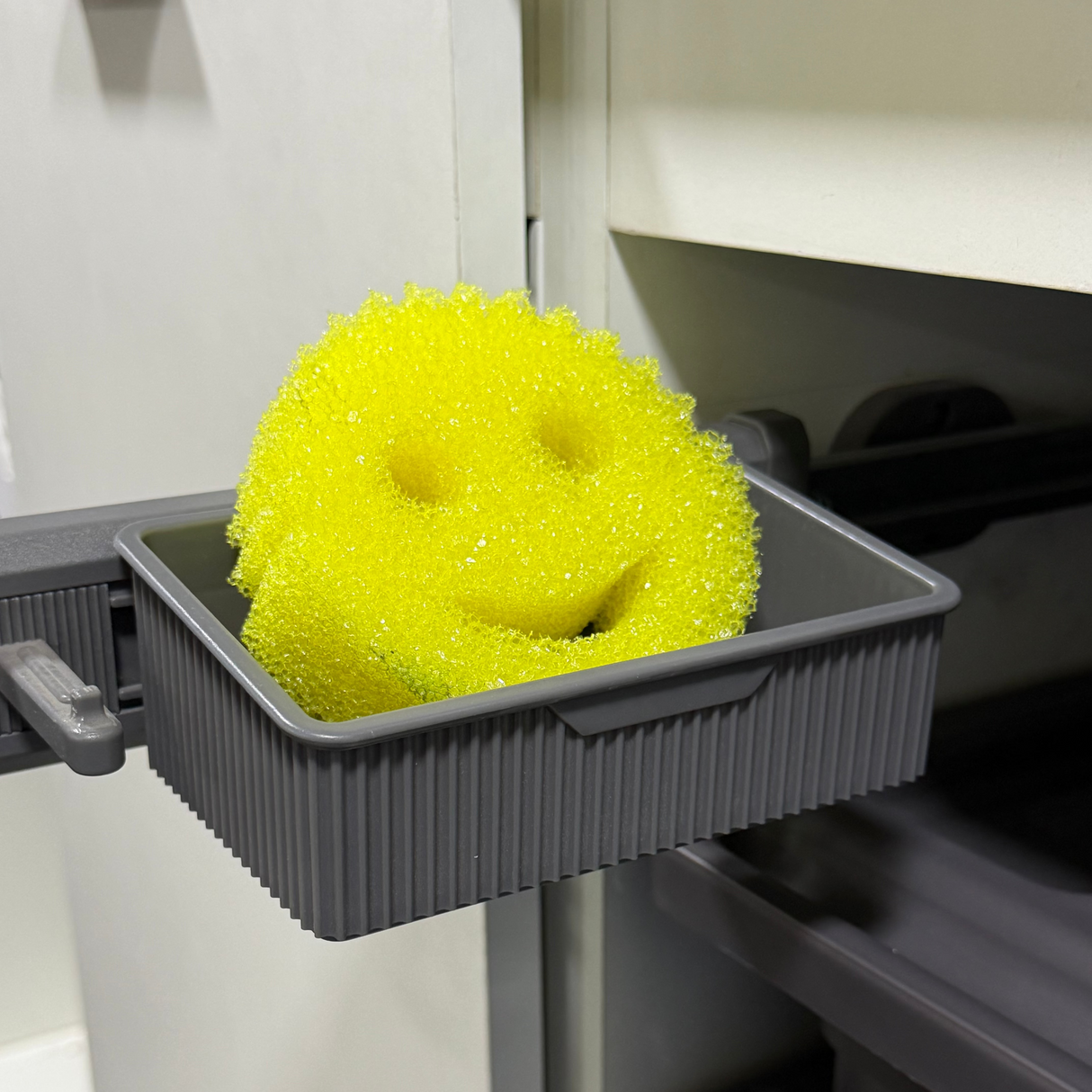 Porta paños de cocina